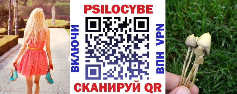 купить закладку  Кукмор  Псилоцибиновые грибы Psilocybine cubensis 